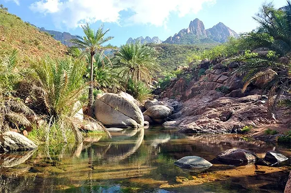 Hyrdefamilie på Socotra