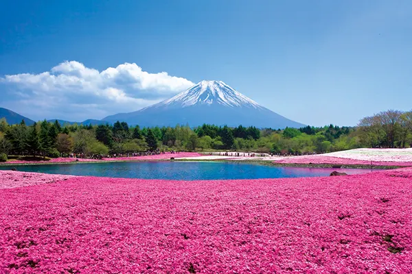 Sjømatmarked Japan